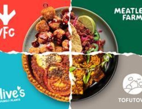 Vegan Food Group acquires Germany’s TofuTown in plant-based consolidation play