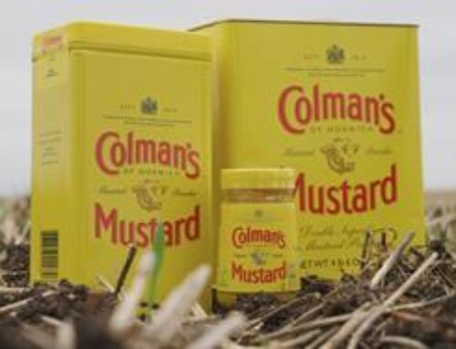 Unilever launches regenerative agriculture programme for Colman’s